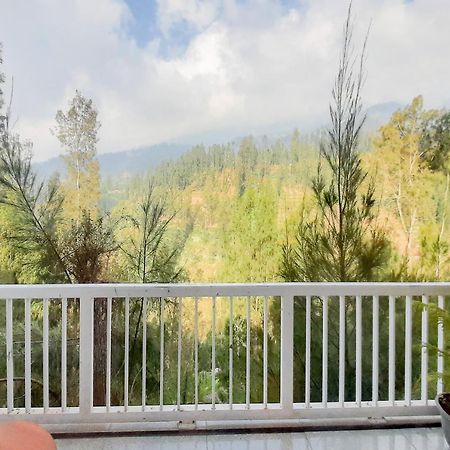 Delvia Bromo Homestay Mitra Reddoorz Pasuruan Extérieur photo